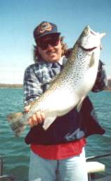 Lake Ontario Brown Trout  